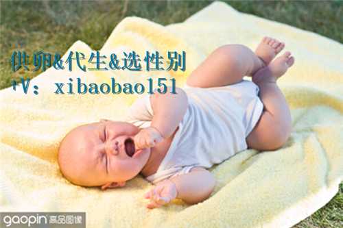 <b>试管代生哪里比较专业,武汉代生儿子微信,南京妇幼做试管婴儿要多少钱</b>